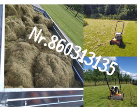 Medžių genėjimas*gyvatvorių karpymas*aplinkos tvarkymas / Zigmas / Darbų pavyzdys ID 3218280