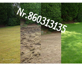 Medžių genėjimas*gyvatvorių karpymas*aplinkos tvarkymas / Zigmas / Darbų pavyzdys ID 3218282