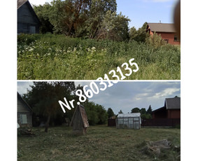 Medžių genėjimas*gyvatvorių karpymas*aplinkos tvarkymas / Zigmas / Darbų pavyzdys ID 3218316