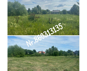 Medžių genėjimas*gyvatvorių karpymas*aplinkos tvarkymas / Zigmas / Darbų pavyzdys ID 3218322