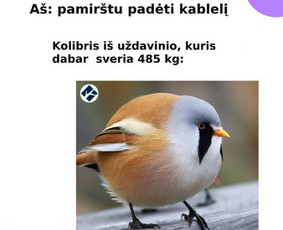 Paruošimas Matematikos Šimtukui (Vbe, Pupp) - Papildomas matematikos mokymas - 4 Papildomas matematikos mokymas - Paruošimas Matematikos Šimtukui (Vbe, Pupp) - 4