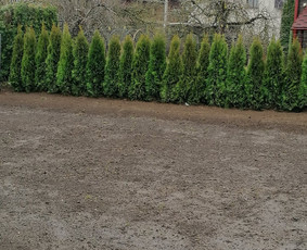 Apželdinimo darbai / Arnoldas , Apželdinimo darbai / Darbų pavyzdys ID 3220198