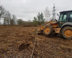 Šakų išvežimas - Apželdinimo darbai - 1