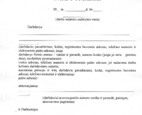 Darbdavių ir darbuotojų konsultacijos darbo teisės klausimais.
Darbo sutarčių, kolektyvinių sutarčių, pareiginių instrukcijų, reglamentų, kitų dokumentų rengimas.