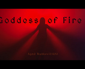 Renginių, įmonių švenčių, konferencijų filmavimas, dronas. / ARTi Production / Darbų pavyzdys ID 3224671