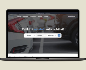 Google ir Facebook reklama, kuri generuoja pardavimus / Edvardas Kolesnikas / Darbų pavyzdys ID 3224925