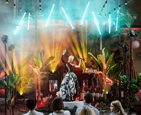 Vakarėlių ap&scaron;vietimas - Ap&scaron;vietimo, įgarsinimo paslaugos - 3