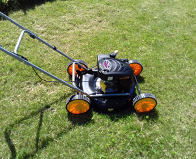 Vejos, žolės pjovimas - Aplinka, sodas - 3 Aplinka, sodas - Vejos, žolės pjovimas - 3