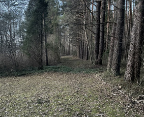 Psichologė, praktikuojanti kognityvinę elgesio terapiją - Kognityvinė elgesio terapija - 2 Kognityvinė elgesio terapija - Psichologė, praktikuojanti kognityvinę elgesio terapiją - 2