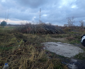 Apleistu sklypu tvarkymas, žoles pjovimas, griovimo darbai. / Edvinas / Darbų pavyzdys ID 3231453