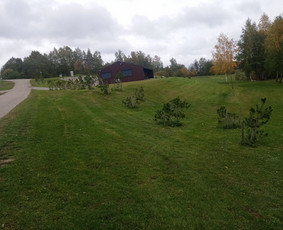 Apleistu sklypu tvarkymas, žoles pjovimas, griovimo darbai. / Edvinas / Darbų pavyzdys ID 3231461