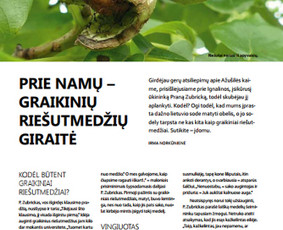 Turinys jūsų svetainei, straipsniai, Redagavimas / Irma Norkūnienė / Darbų pavyzdys ID 609583