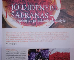 Turinys jūsų svetainei, straipsniai, Redagavimas / Irma Norkūnienė / Darbų pavyzdys ID 609587