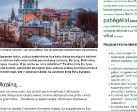 Turinys jūsų svetainei, straipsniai, Redagavimas / Irma Norkūnienė / Darbų pavyzdys ID 609601