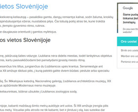 Turinys jūsų svetainei, straipsniai, Redagavimas / Irma Norkūnienė / Darbų pavyzdys ID 609847