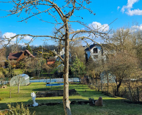 Vaismedžių genėjimas, pjovimas, gyvatvorių formavimas - Vaismedžių genėjimas - 3 Vaismedžių genėjimas - Vaismedžių genėjimas, pjovimas, gyvatvorių formavimas - 3