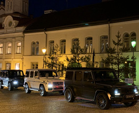 Prabangių automobilių nuoma su asmeniniu vairuotoju / Automobilių nuoma su vairuotoju / Darbų pavyzdys ID 3234739