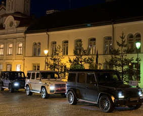 Prabangių automobilių nuoma su asmeniniu vairuotoju / Automobilių nuoma su vairuotoju / Darbų pavyzdys ID 3234741