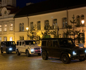 Prabangių automobilių nuoma su asmeniniu vairuotoju / Automobilių nuoma su vairuotoju / Darbų pavyzdys ID 3234743