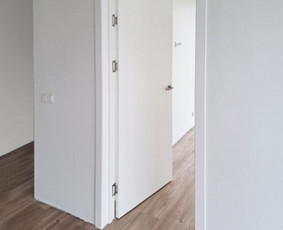 Vidaus durys - įvairios kambario durys / Įvairios vidaus - kambario durys / Darbų pavyzdys ID 3235479