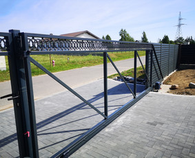 Kiemo vartų gamybą / Arnoldas Tenys / Darbų pavyzdys ID 3240977