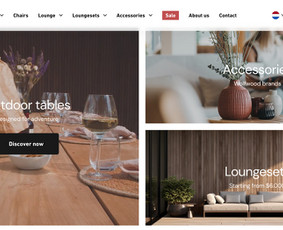 Shopify el. parduotuvių ir svetainių kūrimas / MB Heilas / Darbų pavyzdys ID 3242121