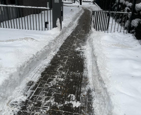 Žolės pjovimas, aeravimas, daugiabučių kiemų priežiūra. / MB Dgaid Group / Darbų pavyzdys ID 3242679