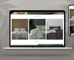 Shopify el. parduotuvių ir svetainių kūrimas / MB Heilas / Darbų pavyzdys ID 3243503