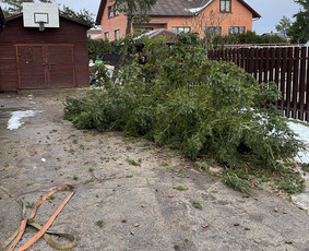 Avarinių medžių pjovimo paslaugos. / Rimas. M.- (Aboristas) / Darbų pavyzdys ID 3245611