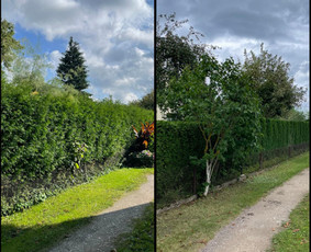 Žolės pjovimas, skarifikavimas/aeravimas, medžių sodinimas - Gyvatvorių karpymas - 2 Gyvatvorių karpymas - Žolės pjovimas, skarifikavimas/aeravimas, medžių sodinimas - 2