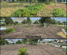 Apželdinimas - vejos įrengimas ir vejos laistymo sistema - Apleistų sklypų tvarkymas - 1 Apleistų sklypų tvarkymas - Apželdinimas - vejos įrengimas ir vejos laistymo sistema - 1