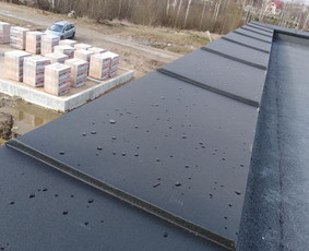 Skardinimo darbai ir skardinių tvorų gamyba / MB D9 LT / Darbų pavyzdys ID 3247653