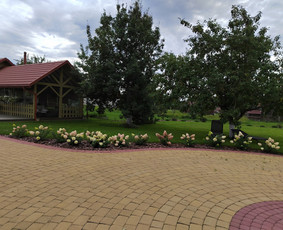 Kraštotvarkos architektė - Augalų ir medelių sodinimas - 3 Augalų ir medelių sodinimas - Kraštotvarkos architektė - 3