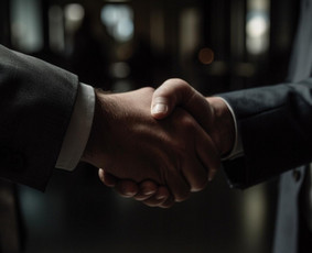 Advokato dr. E. Bakanausko teisinės paslaugos - Konsultacijos NT įteisinimo klausimais - 1 Konsultacijos NT įteisinimo klausimais - Advokato dr. E. Bakanausko teisinės paslaugos - 1