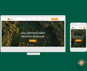 Svetainių, El. parduotuvių, Seo, logotipo ir reklamų kūrimas / Tautvydas Zaurynas / Darbų pavyzdys ID 3249113