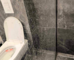 Profesionalios valymo paslaugos ! / MB "Švaros spindulys'' / Darbų pavyzdys ID 3250739