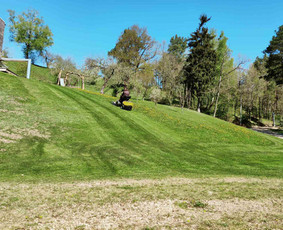 Vaismedžių genėjimas, gyvatvorių karpymas / Audrius / Darbų pavyzdys ID 3251555