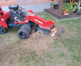 Vaismedžių genėjimas, gyvatvorių karpymas / Audrius / Darbų pavyzdys ID 3251563