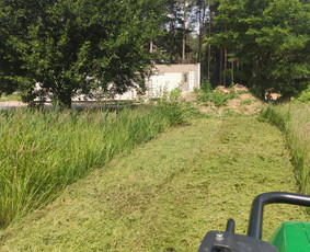 Vaismedžių genėjimas, gyvatvorių karpymas / Audrius / Darbų pavyzdys ID 3251579