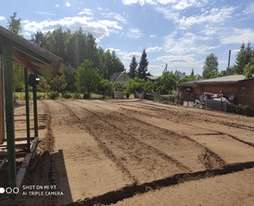 Vaismedžių genėjimas, gyvatvorių karpymas / Audrius / Darbų pavyzdys ID 3251581