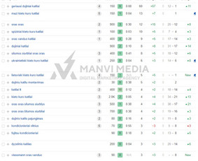 #1 Google Ads Reklama, Google Seo, Ai Seo ir Google Maps Seo / Vilius Jankeliūnas | MB Manvi Media / Darbų pavyzdys ID 3252603