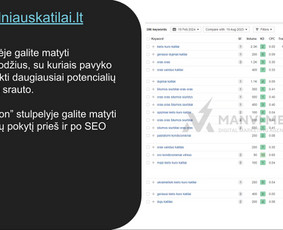 #1 Google Ads Reklama, Google Seo, Ai Seo ir Google Maps Seo / Vilius Jankeliūnas | MB Manvi Media / Darbų pavyzdys ID 3252625