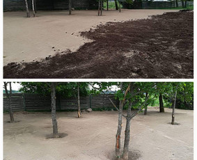 Trinkelių klojimas / Aurimas Eidukas / Darbų pavyzdys ID 3256007