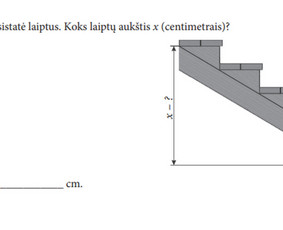 Papildomas matematikos mokymas internetu - Matematikos korepetitorė - 4