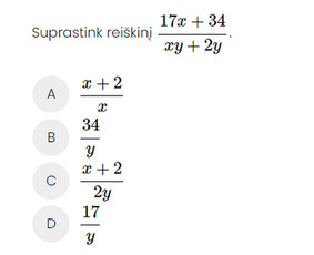 Papildomas matematikos mokymas internetu - Matematikos korepetitorė - 3