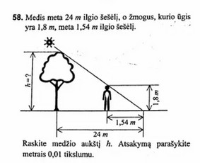 Papildomas matematikos mokymas internetu - Matematikos korepetitorė - 2