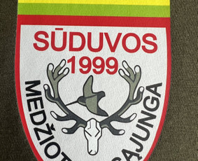 Spauda ant marškinėlių, įvairi spauda ant tekstilės gaminių / Printo prizmė, MB / Darbų pavyzdys ID 3258175