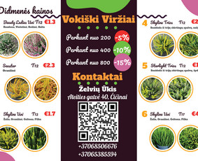 Grafikos Dizainas, Prisitaikantis Prie Jūsų Vizijos! - Grafikos dizaineriai - 4 Grafikos dizaineriai - Grafikos Dizainas, Prisitaikantis Prie Jūsų Vizijos! - 4