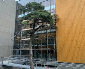 Įrankių nuoma - Moduliniu pastoliu nuoma - 1