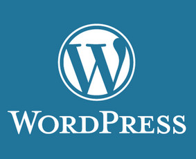 Interneto svetainių ir el.parduotuvių kūrimas/optimizavimas - Programavimas su WordPress - 1 Programavimas su WordPress - Interneto svetainių ir el.parduotuvių kūrimas/optimizavimas - 1